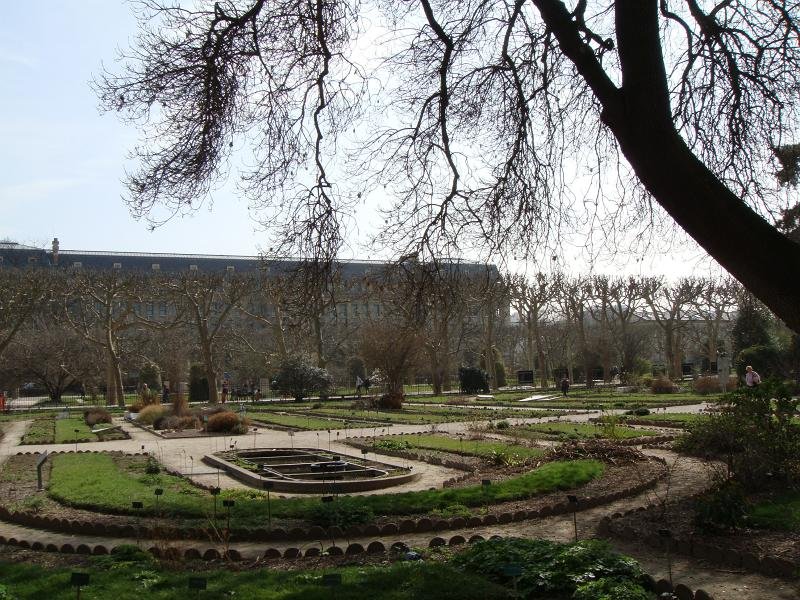 02_Jardin_des_Plantes