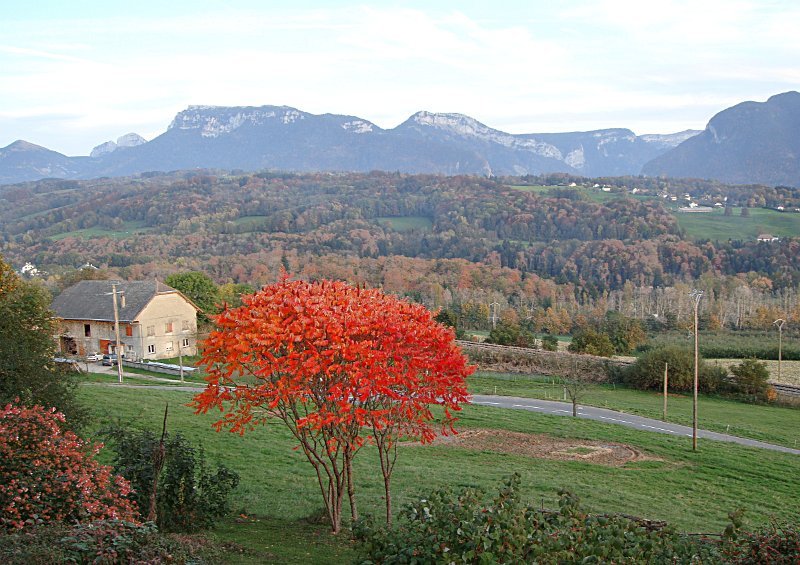 2013-11_Automne_Groisy__Paris