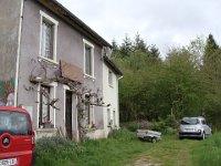 À Arconsat, plus en hauteur, la glycine démarre à peine.