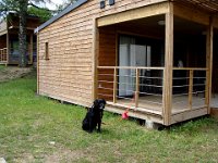 ... seul le chien est tout triste à l'écart.
