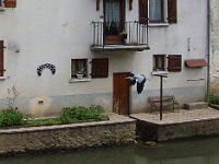 ... et les hérons en sont d'autant plus chez eux !