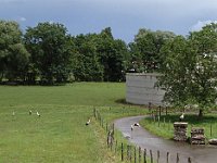 ... mais aussi en plein champ ...