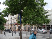 Dans certains arbres, de drôles de fruits en laine.
