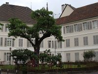 Décoration originale sur cet arbre.