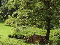 ... avec un grand jardin soigné et un tas de bois « artistique ».