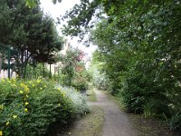 Le chemin a été assez récemment réhabilité ..