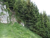 Petite erreur d'itinéraire : nous sommes montés trop haut ...