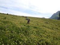 Nous le rejoignons par ce champ fleuri, mais pentu !