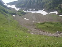 Grosses pierres, moutons ?