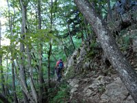 Sentier facile,  dans la forêt, à l'ombre.