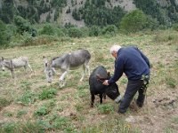 ... mais aussi des bourbonnais ...
