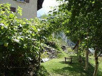 ... mais aussi de la nouvelle, maintenant bien arrangée. Pour les framboises, il n'y a qu'à tendre la main !