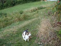 Minnie nous accueille à sa manière ...