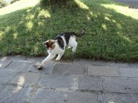 ... avec un petit cadeau ...