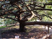 ... mais reste quand même impressionnant.