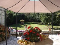 ... au grand bénéfice de Martine ! La cueillette des pommes a été fructueuse.