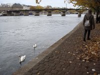 Le pont des Arts et, derrière, le pont du Carrousel. Les cygnes guettent encore les passants ...