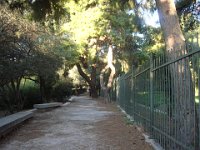 En longeant la base du site ...