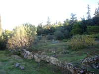 Redescente vers la ville, par le parc Thissio.