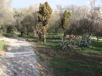 Redescente vers l'ancienne Agora par la Pnyx.  Sous l'Antiquité, elle était le siège de l’Ecclésia, l’assemblée des citoyens, qui y votait les lois à main levée.