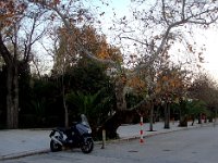 Ce vieil arbre a bien besoin d'un support.