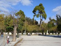 Toujours autour du Jardin national, ...