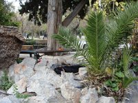 ... et offre un douillet refuge à ce chien de SDF.