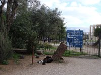 En face de l'hôtel, l’Olympiéion ou temple de Zeus olympien est d'accès payant (6 €).