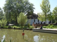 Ce héron, si immobile qu'on croirait un faux, se moque bien de l'interdiction ...