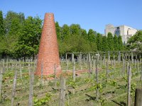 Chardonnay et Sauvignon blanc, en souvenir du passé vinicole.