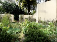 Jardin partagé par les riverains