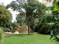 Quelques curiosités ...