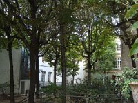 ... et anciennement cour d'école, d'où les marronniers.