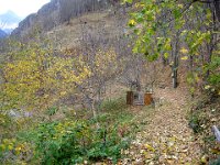 ... en particulier le potager. On est bien en automne ...