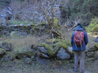 En tout cas, ce n'est pas récent ! La mousse envahit tout ...
