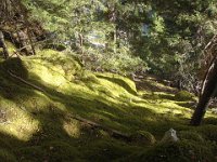 ... mais avec un rayon de soleil, cela fait un beau tableau.
