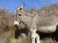 Mais c'est qu'il se foutrait de nous !