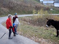 Allez, on retourne voir les ânes marrants.