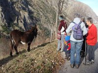 Ah, là, c'est plutôt une ânesse. Comme dit Jean : « Bébé ».