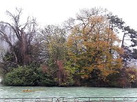 Les arbres de l'Île aux cygnes sont un peu déplumés