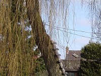 Et une autre pour atteindre une passerelle acrobatique.