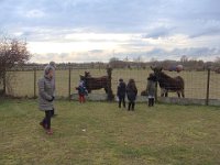 Les enfants sont bien sûr attirés par les ânes voisins ...