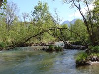 Petite balade au bout du lac ...