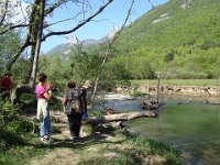 Ici, cela semble bien pour la photo.