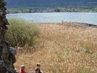 Allez, au-dessus de la roselière, on se grimpe la tour de Beauvivier ...