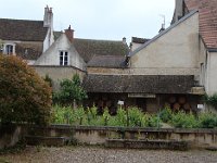 D'ailleurs il y a même quelques vignes en pleine ville.