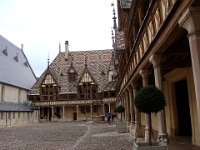 Les Hospices possèdent un domaine  constitué de près de 61 hectares de vignes (50 de pinot noir et 10 de chardonnay).