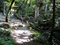 La randonnée est classée comme facile, mais par endroits cailloux et racines la compliquent un peu.