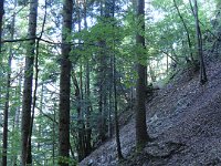 Une tentative de retour par un chemin latéral,  qui devient vite hasardeuse. On reprend le chemin principal ...