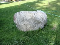 Un beau bloc poli de gneiss plissé.